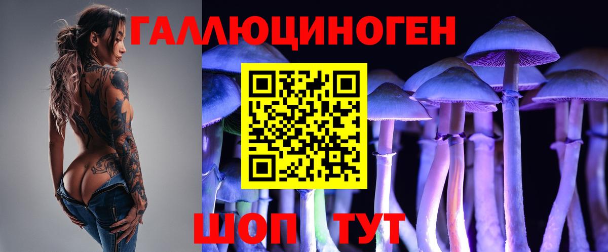 наркошоп  Псилоцибиновые грибы GOLDEN TEACHER  Вход с VPN  Нижнекамск 